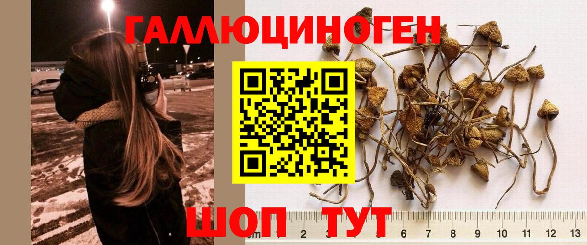 Галлюциногенные грибы прущие грибы Миасс