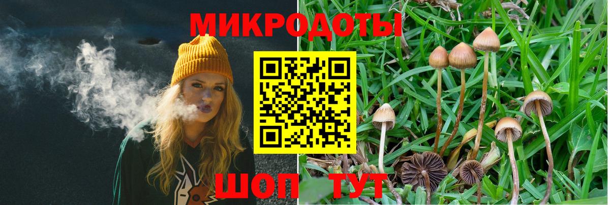 Псилоцибиновые грибы MAGIC MUSHROOMS  Галлюциногенные грибы мухоморы  Миасс  наркошоп  Вход с VPN 
